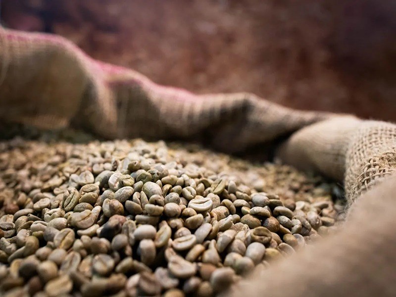 Grãos de café representando a Cotação do Café Conilon para produtores e comerciantes.